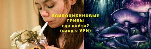 дмт Балахна