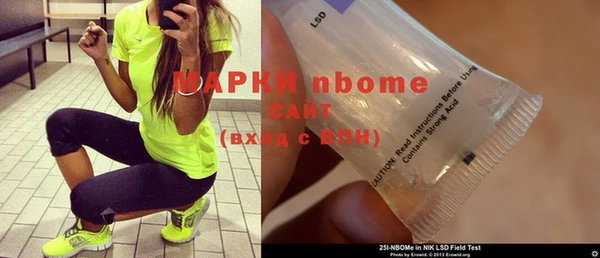 прущие грибы Новодвинск