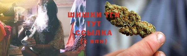 каннабис Новозыбков