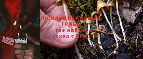 дмт Балахна