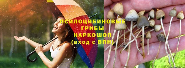 трава Балабаново