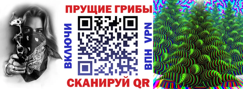 дарнет шоп  ссылка на мегу онион  Галлюциногенные грибы Psilocybe  Борисоглебск 